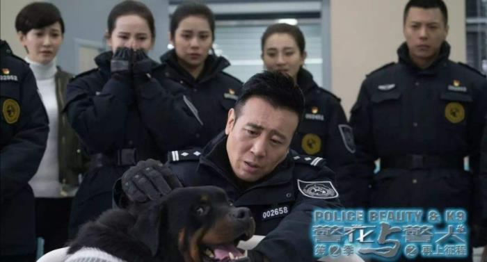 神犬奇兵电视剧7部关于警犬神犬的电视剧