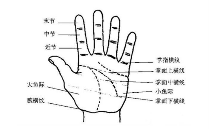 手掌痣相图解望诊门道之手掌纹中的肿瘤信号