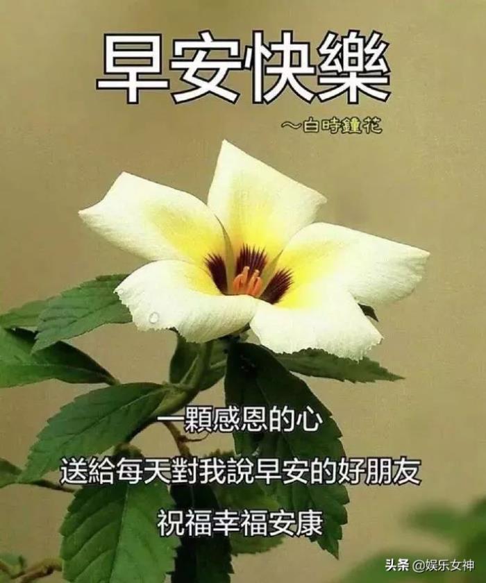 寫給閨蜜的句子暖心(清晨早安祝福語暖心句子)