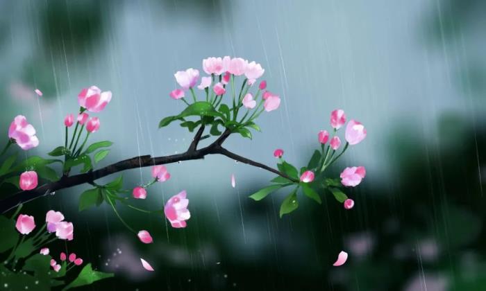 春雨的图片(今日雨水丨渴求一场春雨)
