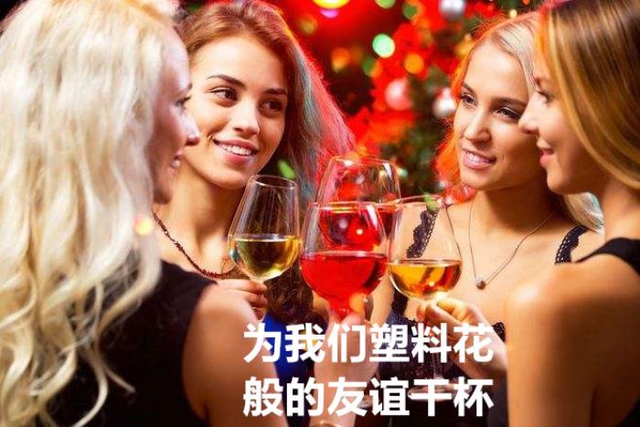 塑料花姐妹图片搞笑图片