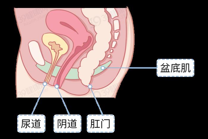 上过生物课的朋友们都知道女生的生理结构有三个通道——尿道,阴道