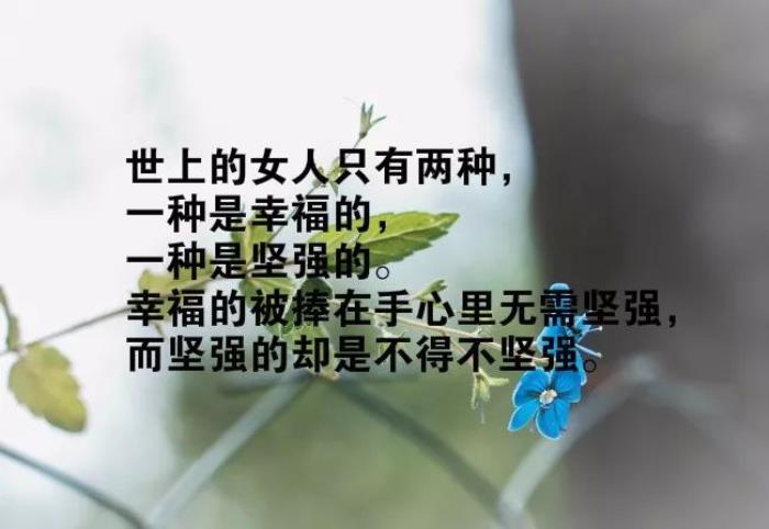 励志短句霸气致自己(致自己很霸气的励志短句子)