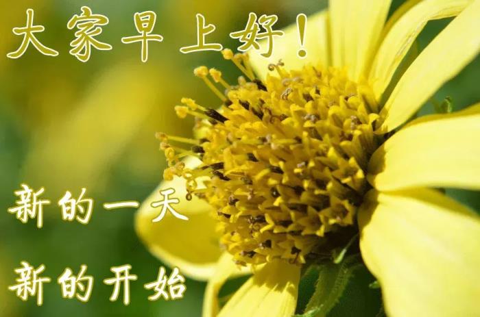 祝美女永远年轻的句子(祝群友们永远年轻,漂亮)