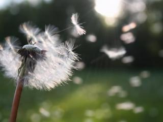 水瓶座死心的表现（十二星座对你死心的表现）