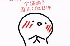 2021314代表什么意思（2021314不只是谐音梗）