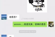 ojbk（ojbk的正确使用方法）