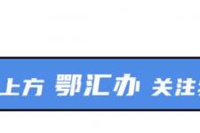 社保证明自己怎么从网上打印（不出门能打印社保证明吗）