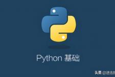 python是什么意思（Python是什么意思）