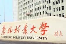 东北林业大学排名（东北林业大学(2021)）