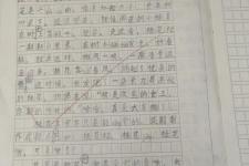 三年级300字优秀作文（(儿子三年级上册四单元作文)）